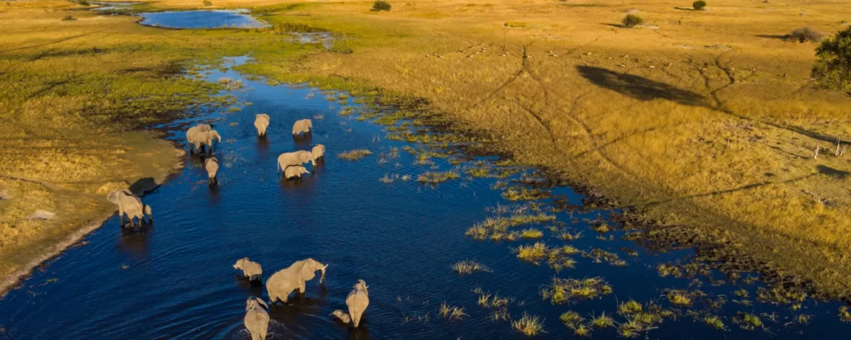 Are Private Conservancies Better Than National Parks?