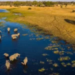 Are Private Conservancies Better Than National Parks?