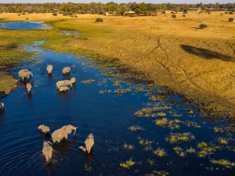 Are Private Conservancies Better Than National Parks?