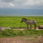 Are Rwanda Safaris Eco Friendly