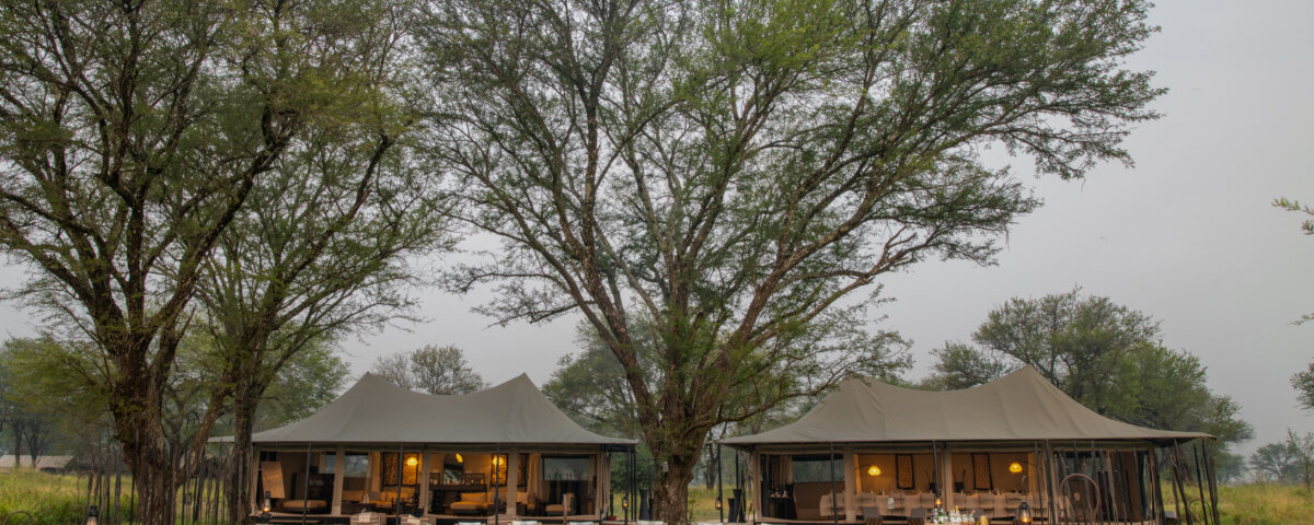 Are There Luxury Tents in Serengeti