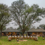 Are There Luxury Tents in Serengeti
