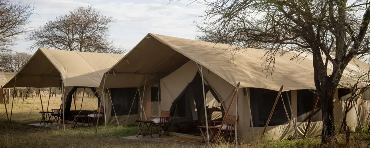 Are There Family Tents in Serengeti?