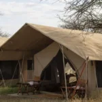 Are There Family Tents in Serengeti?