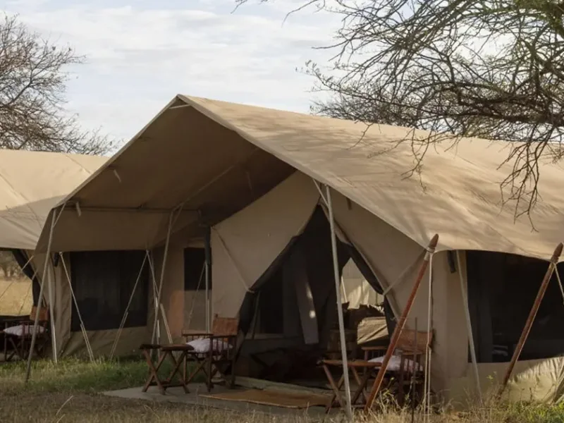 Are There Family Tents in Serengeti?