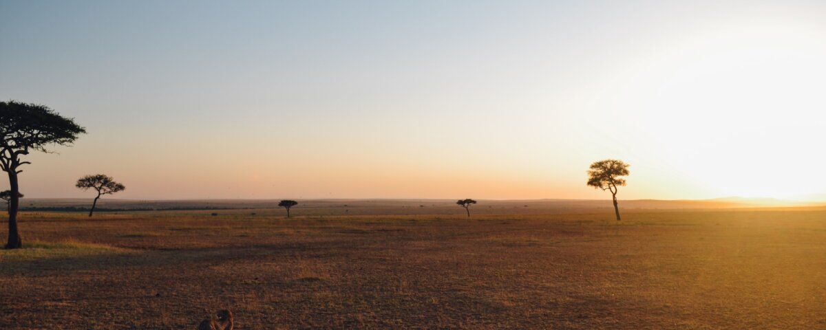 When Is the Best Time to Visit Serengeti