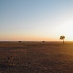 When Is the Best Time to Visit Serengeti