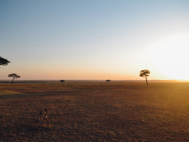 When Is the Best Time to Visit Serengeti