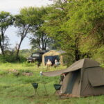 Can I do camping safaris in Rwanda