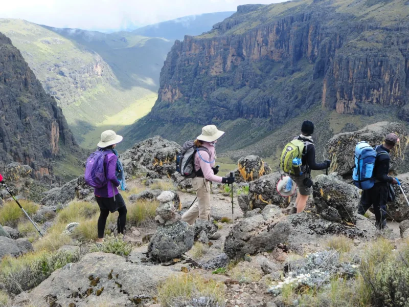 Can You Do Walking Safaris in Kenya?