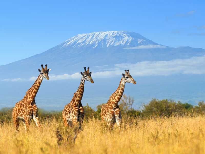 Can You See Mount Kilimanjaro from Amboseli?