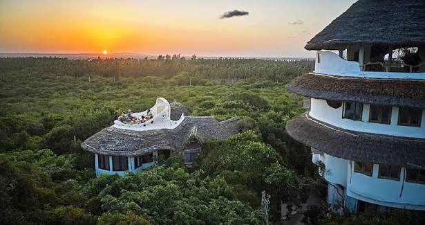 Can you see tree lodges in Kenya?