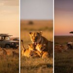 Can you visit multiple parks in one Kenya safari?
