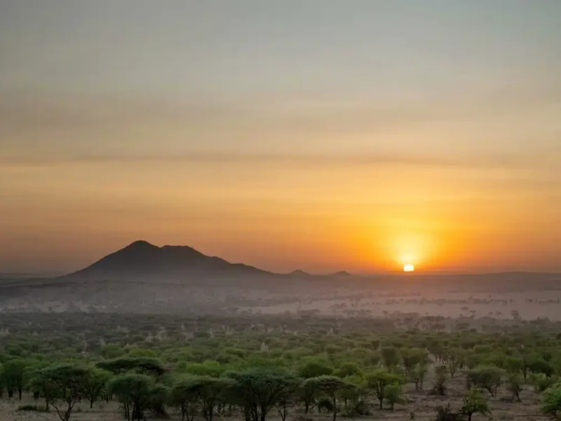 What Is Central Serengeti Known For