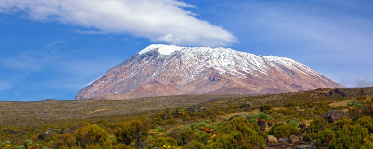 What Is the Best Tanzania Adventure Tour