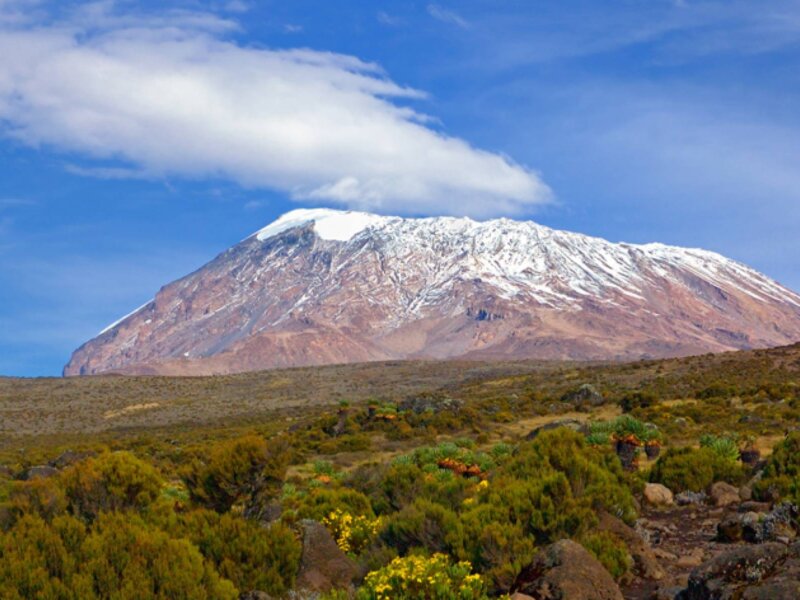 What Is the Best Tanzania Adventure Tour