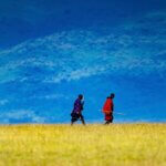 Are Maasai People Found in Ngorongoro