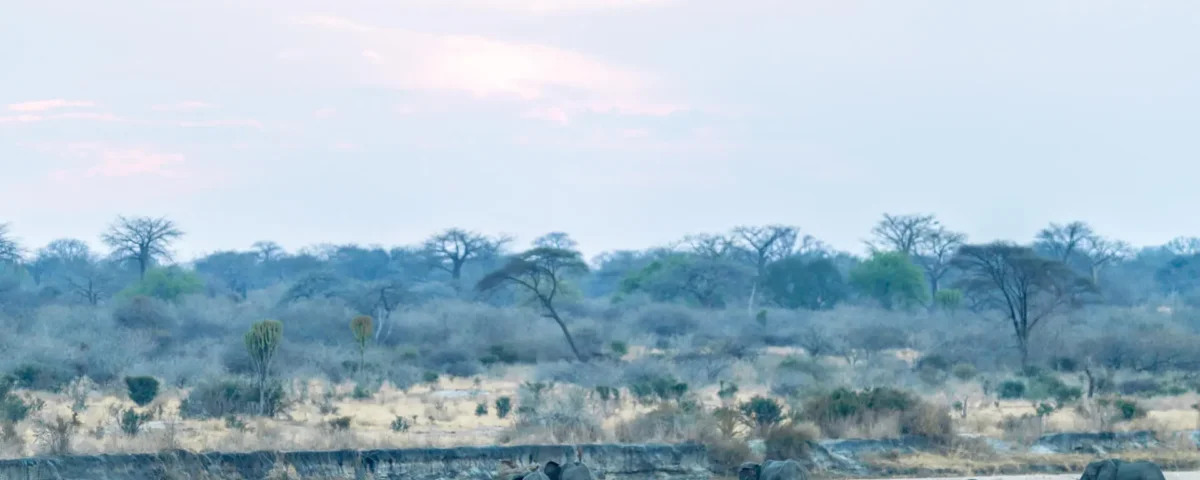 Can Students Afford Tanzania Safari