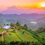 Experience the True Beauty and Diversity of Africa Tourism
