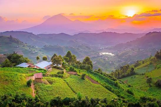Experience the True Beauty and Diversity of Africa Tourism