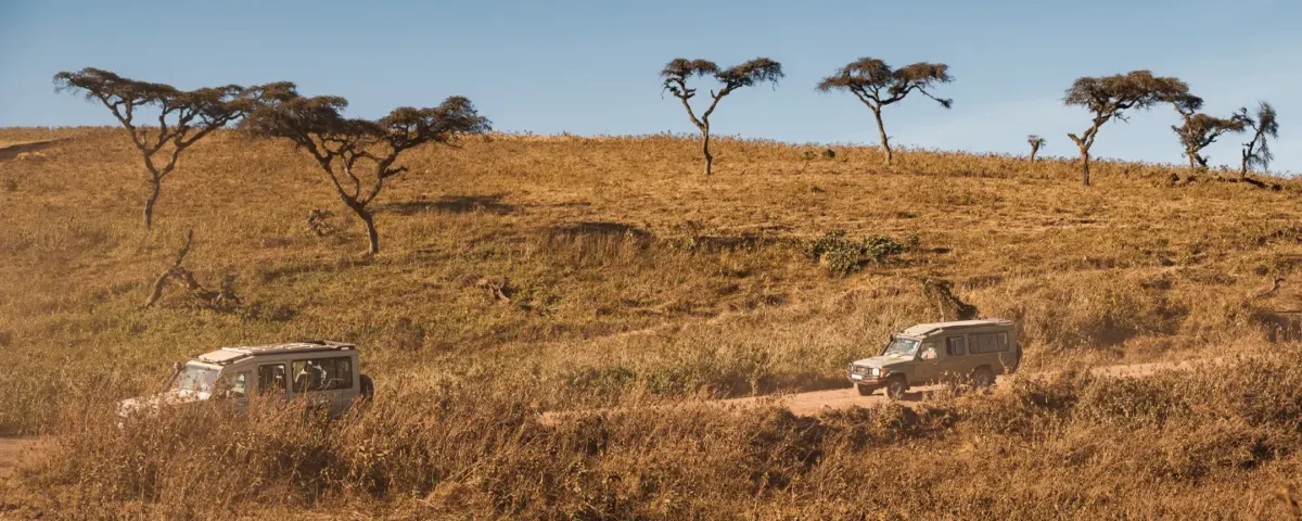 What Is the Best Private Luxury Safari in Tanzania