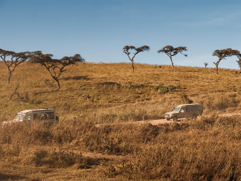 What Is the Best Private Luxury Safari in Tanzania
