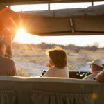 Which Safari Parks Are Best for Families