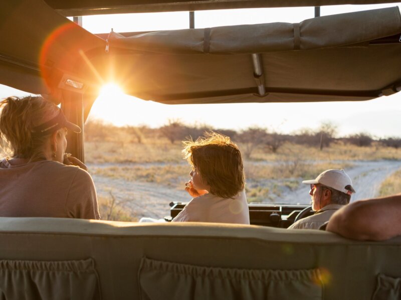 Which Safari Parks Are Best for Families