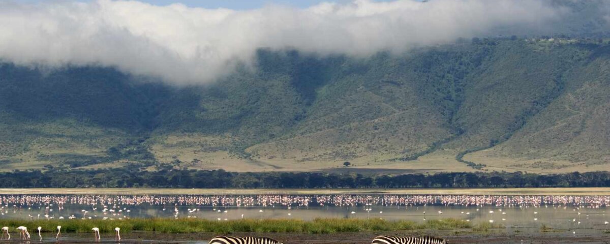 What Animals Can I See in Ngorongoro