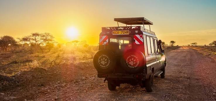 How Early Should I Book a Kenya Safari?