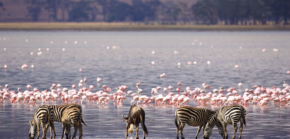 How Many Days Do You Need in Lake Nakuru