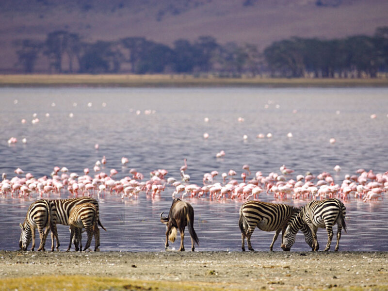 How Many Days Do You Need in Lake Nakuru