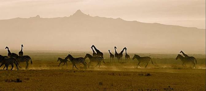 Is Ol Pejeta Conservancy worth visiting?