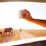 Is WiFi Available on Kenya Safaris