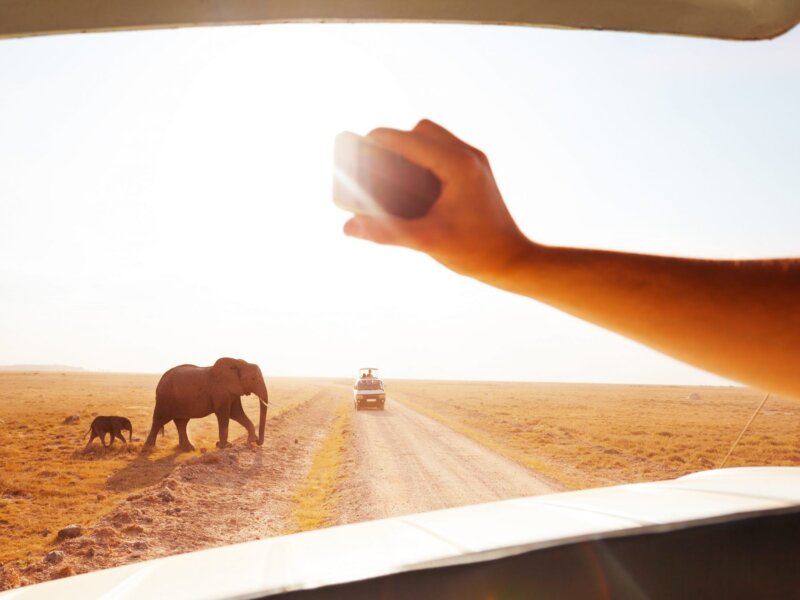 Is WiFi Available on Kenya Safaris