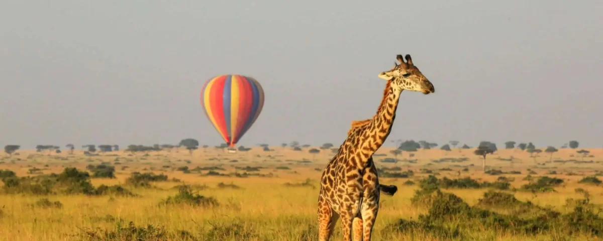 What Is Luxury Fly In Safari Tanzania