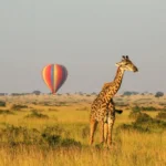 What Is Luxury Fly In Safari Tanzania