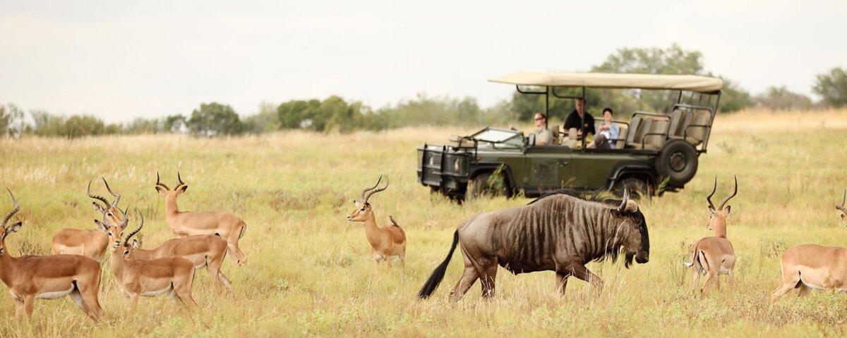 Which Safari Parks Are Easiest for Children?