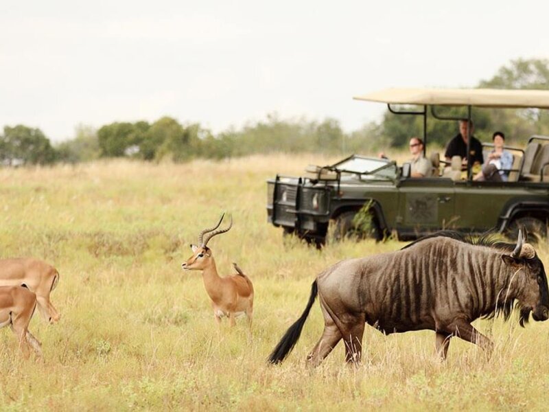 Which Safari Parks Are Easiest for Children?