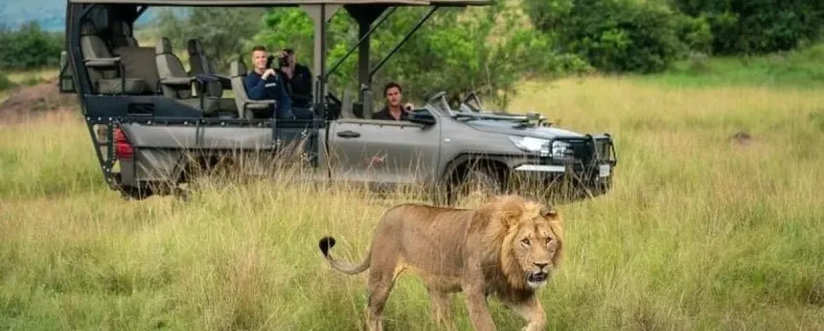 Which Luxury Safari Has Best Wildlife Viewing