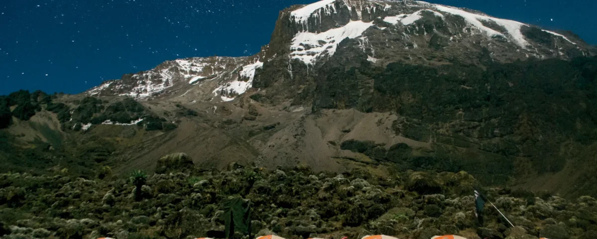 Luxury Safari in Tanzania