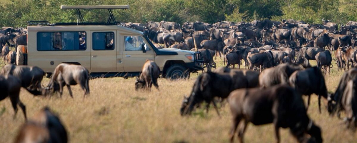 Can Families See the Great Migration
