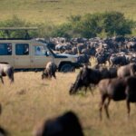Can Families See the Great Migration