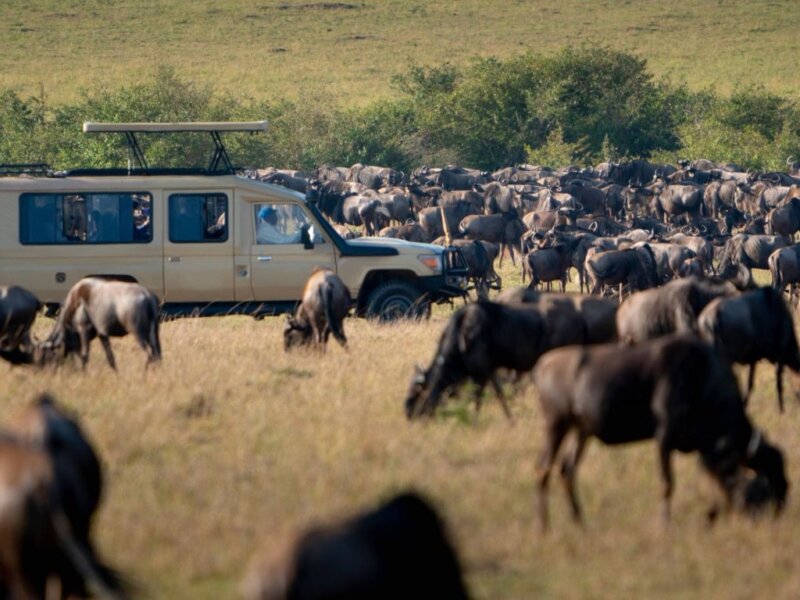 Can Families See the Great Migration