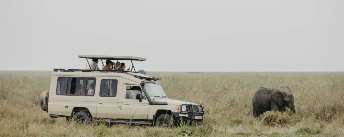 Are Budget Tanzania Safaris Safe