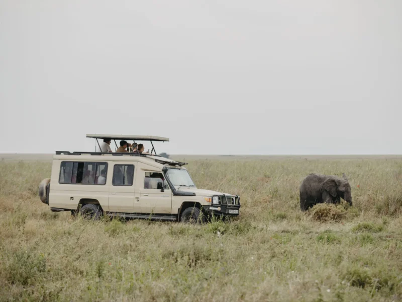 Are Budget Tanzania Safaris Safe