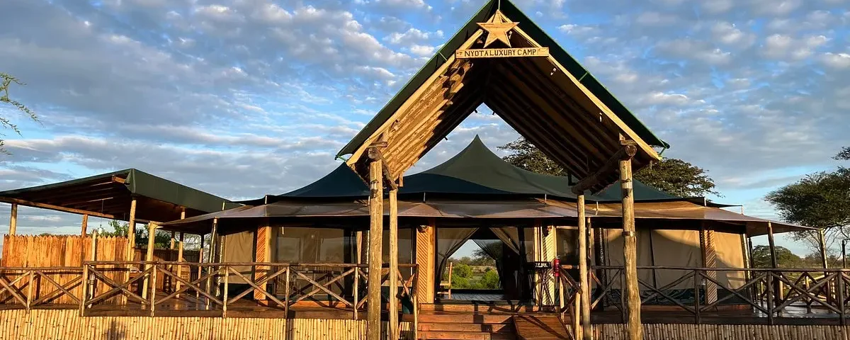 What Are the Best Camps in Serengeti