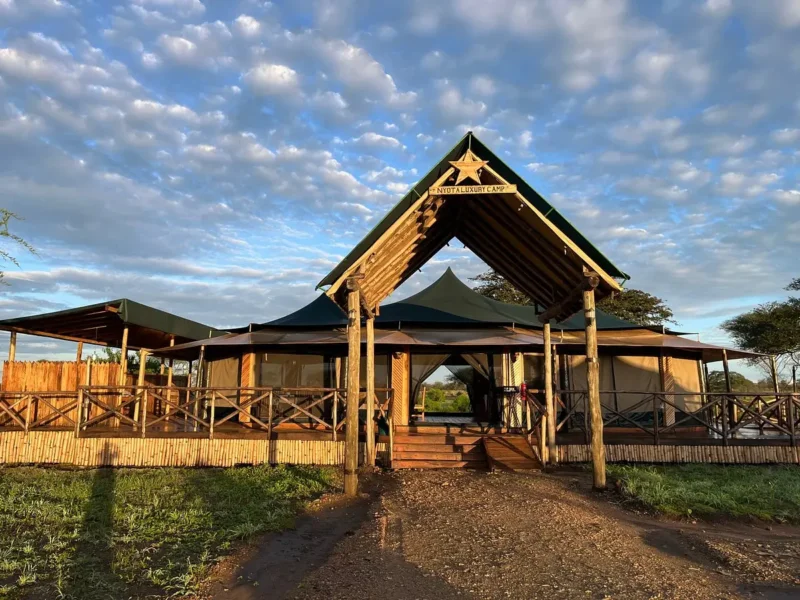 What Are the Best Camps in Serengeti