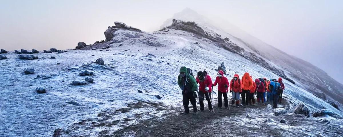 Which Month Is Best for Kilimanjaro and Safari
