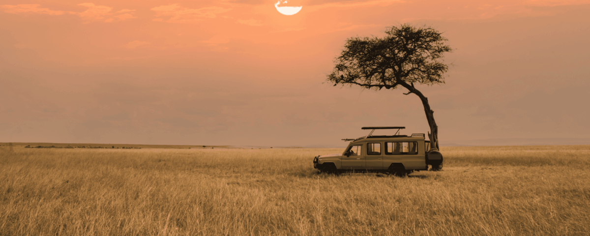 What Is the Best Zanzibar and Tanzania Safari Package